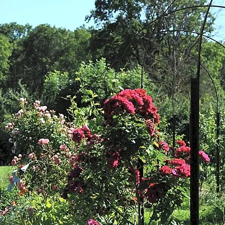 Le Champ Bagnolet Bed & Breakfast 3*