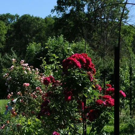 Le Champ Bagnolet Bed and breakfast