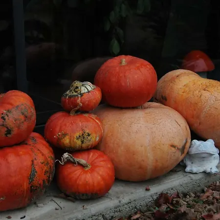 Bed and Breakfast Le Champ Bagnolet