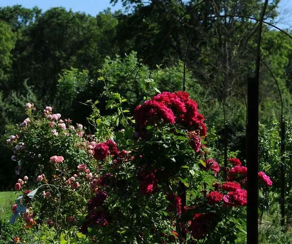 Le Champ Bagnolet Frühstückspension