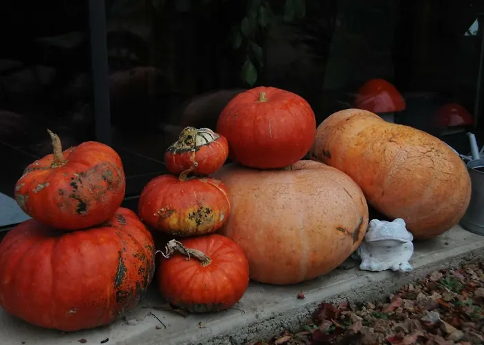 Bed and breakfast Le Champ Bagnolet